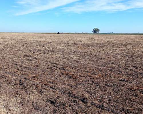 Campo Mixto 70% Agricola 29% Ganadero