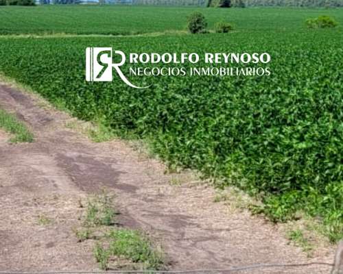 50 HA. en Colonia Elía (entre Ríos)