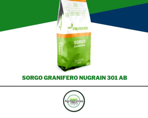 Semilla de Sorgo Nugrain 301 AB Tolerante a Pulgon