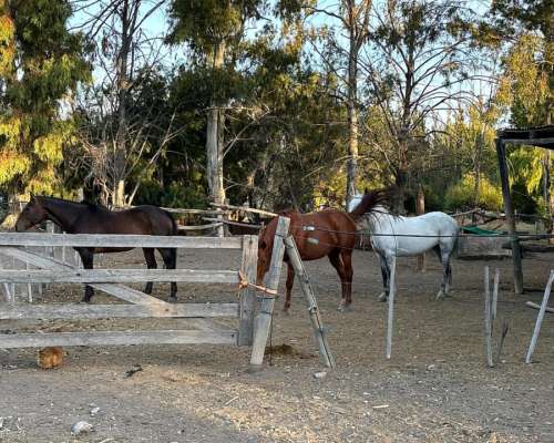 Chacra Trelew Chubut 7.5 Hectáreas