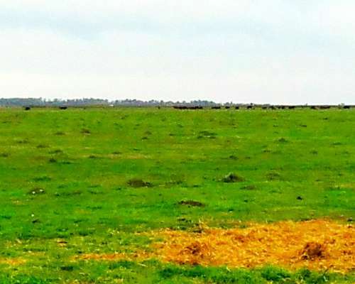 1100 Ha Mixtas, al SUR de Santa FE.
