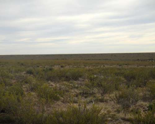 2500 Has. Lihuel Calel – la Pampa