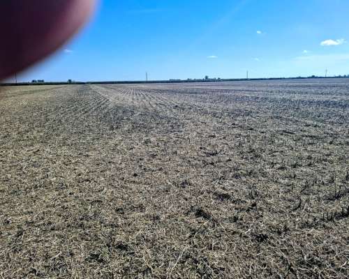 33 Ha SE Venden en Zona de Pilar( Santa FE)