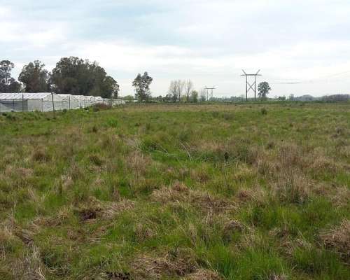 Campo en Venta en Zona Hortícola de la Plata