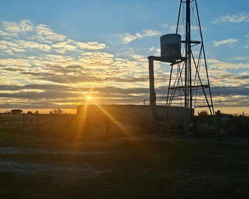 Venden 132 Ha Dep. las Colonias.( Virginia)