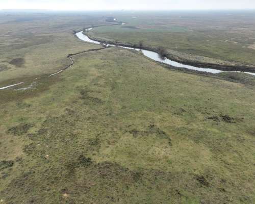 Crotto, Tapalqué, Buenos Aires - 440 Ha