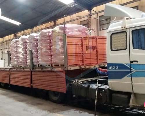 Mercedes Benz LS 1633 Modelo 1999 y Semi Randon