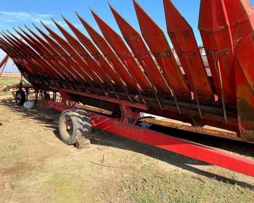 Girasolero Mainero 1035 de 10 a 70