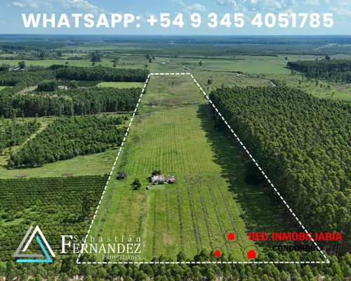Campo en Venta, Zona Citricola/forestal Cerca de Zona Urbana