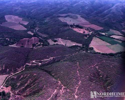 Singuil, Catamarca - 2.099 Ha