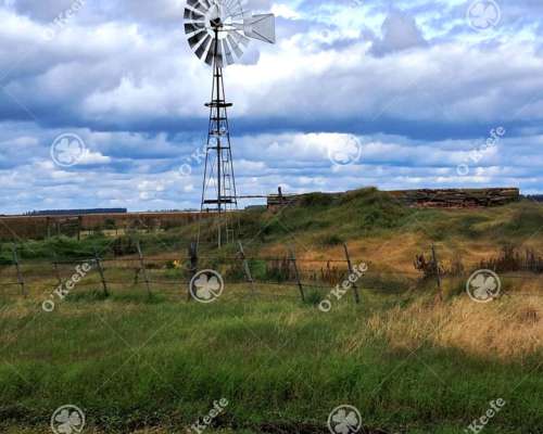 Campo en Venta 441 Has en General Villegas, Bs.as, Mixtas.