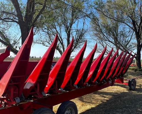 Mainero 2008. 11 S a 52cm. año 2019.