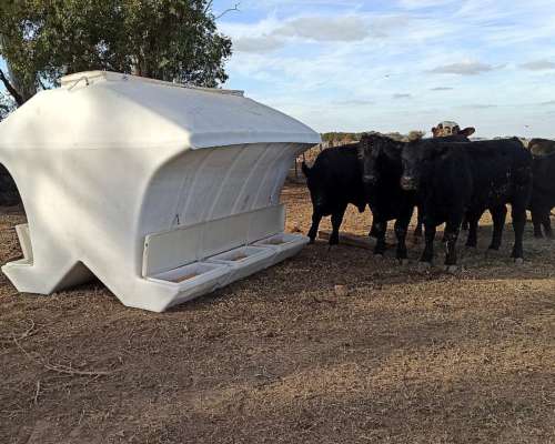 Comedero Autoconsumo 4.500 Kg Rotor