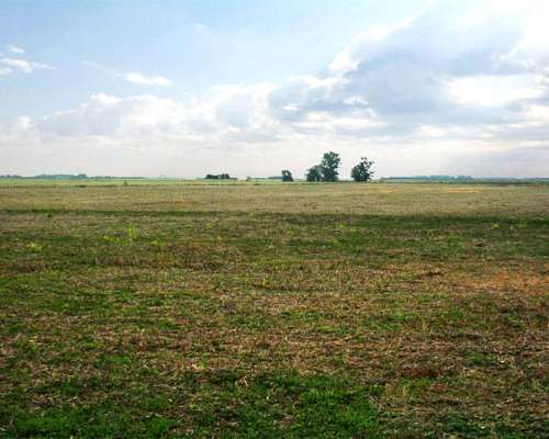 General Viamonte, Buenos Aires - 399 Ha