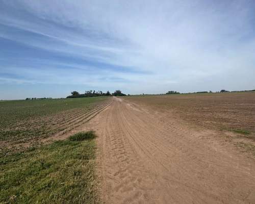 Campo Agrícola 183 Hectáreas