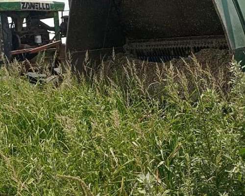 Embolsadora Zanello 9500 para Tunel de 9 Pies