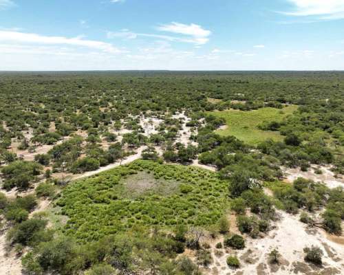 Pcia. de Corrientes - Sauce 1076 Ha