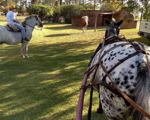 Inmobiliaria Pousa Pousa Vende