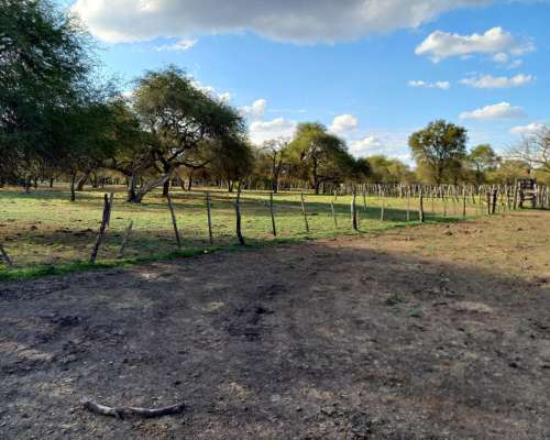 Arrendamiento Monte para Cria