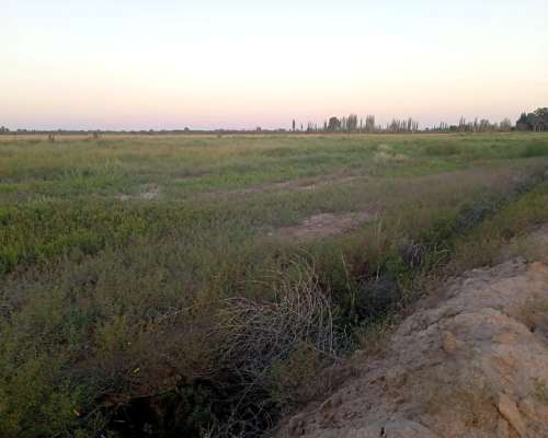 Las Catitas (mendoza) 298 Has/ Autopista