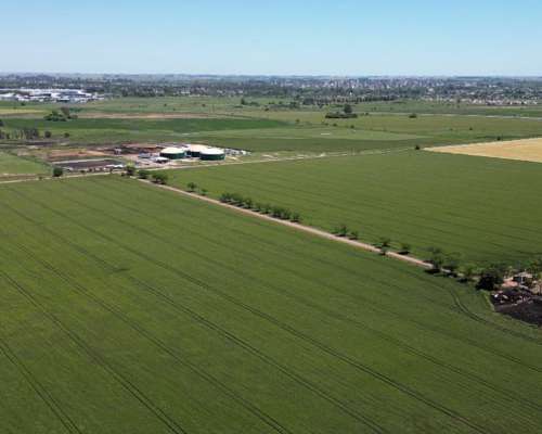 Campo en Venta. 63ha Pergamino