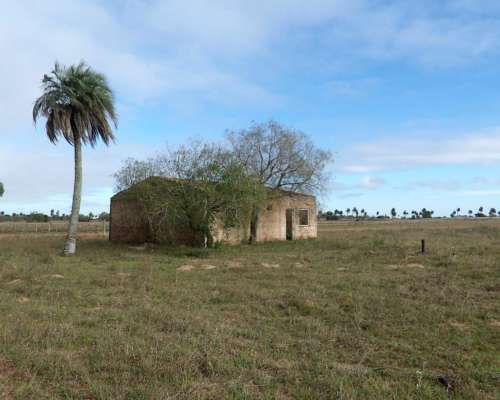 Vendo Campo 5000 Hectáreas en San Roque Corrientes
