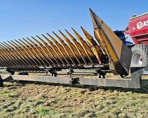 Franco Fabril 19 a 52 año 2022