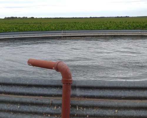 Liborio Luna 430 Has