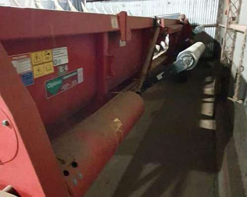 Maicero Mainero 14 a 52 año 2009