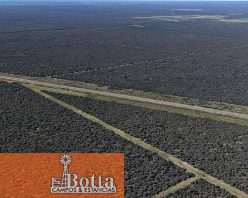 Establecimiento Ganadero de 1475 Hectáreas, Arizona,san Luis
