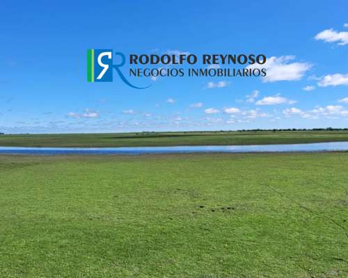 700 HA. en Gualeguaychú, Entre Ríos