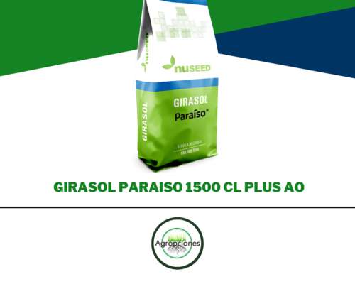 Semilla de Girasol Paraiso 1500 CL Plus AO