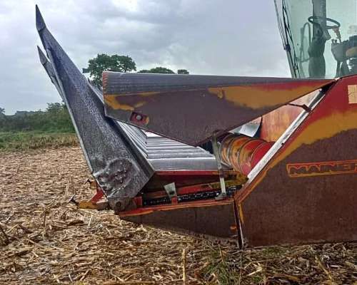 Maicero Mainero 2000, año 2008 de 11 a 52 cm