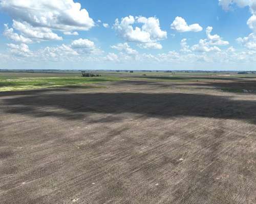 1380 Has. Campo Mixto S/ Ruta 7 en San Andres de Giles