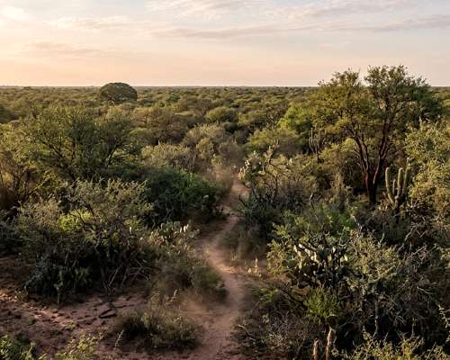 Quimili a 14 km de Ruta 5 700has Ganaderas Aptas Agricultura