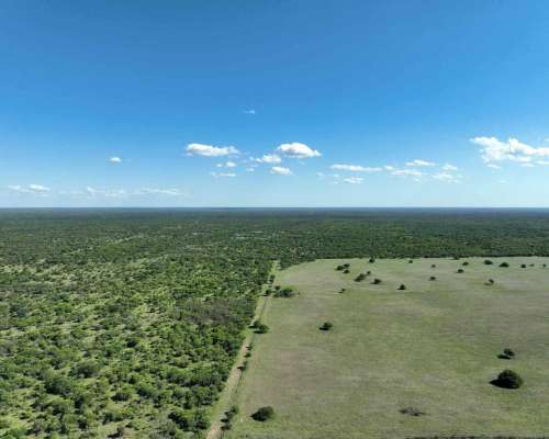 Pcia. de San Luis - Arizona 2307 Has