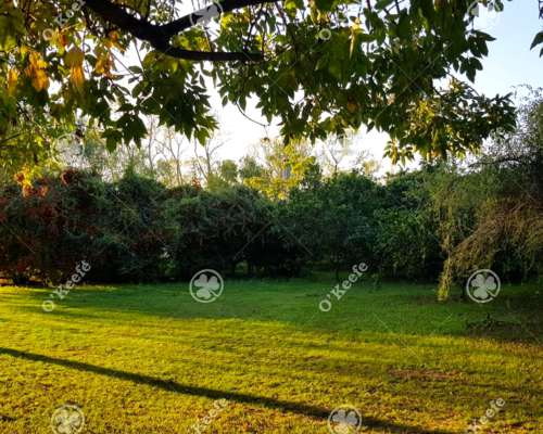 Chacra en Venta de 32 Has en San Pedro. Producción de Kiwi.