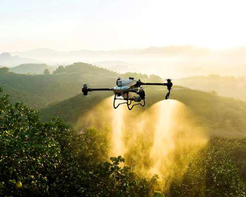 Drone DJI Agras T50. Disponible
