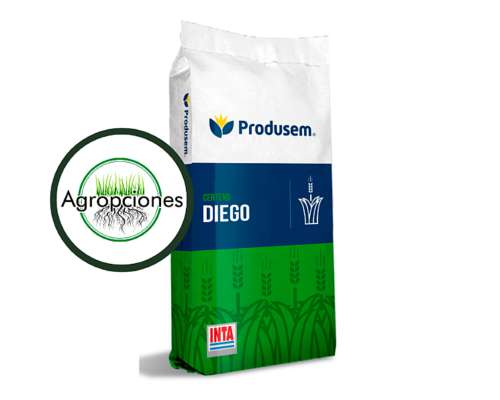 Semilla de Centeno Diego - Semilla Fiscalizada