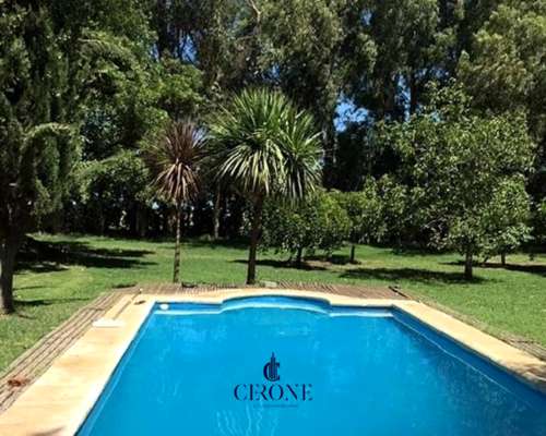 Campo - 103 Hectáreas - Agrícola - Mechongue - Sobre Ruta