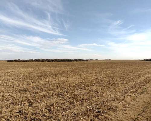 Campo en Zona de Piedritas
