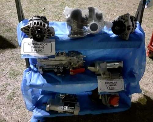 Repuestos de Motor Cummins, Mwm, Pauny, Zanello