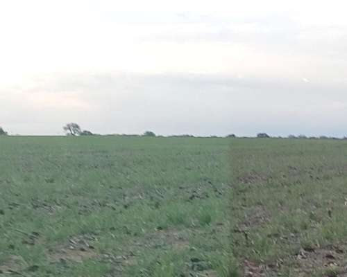 Vendo 500 Has Agrícolas en Zona Liborio Luna, San Luis