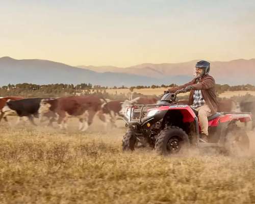 Cuatriciclo Honda TRX 420 FM 4X4 Rojo Entrega Inmediata