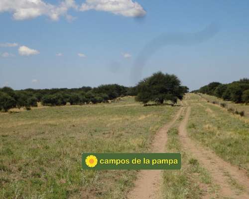 La Pampa - Venta Estancia 10.200 Ha Caldenal y Cultivo