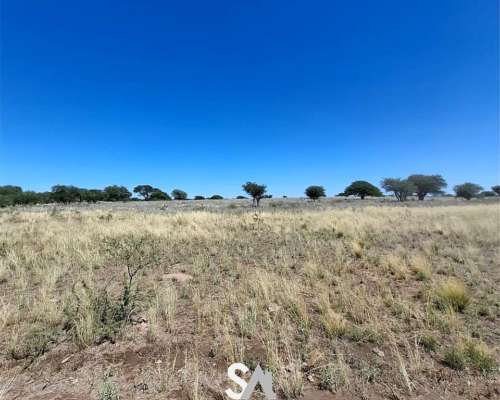 Se Vende Excelente Campo Ganadero en Victorica, la Pampa.