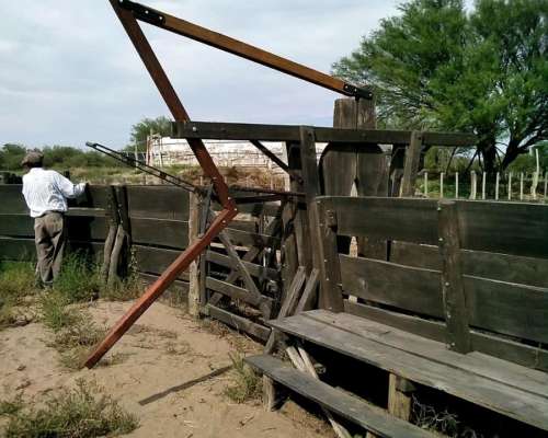 Campo Ganadero en San Luis, de Beazley. 6.000 Hectareas