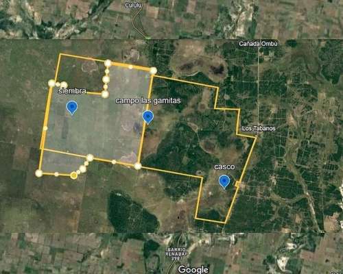 Gigante Agropecuario de 140 Mil Hectáreas en Santa FE