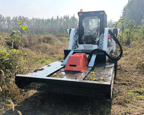 Cargadora Skid Steer con Ruedas o Orugas / Runtx - Nuevas