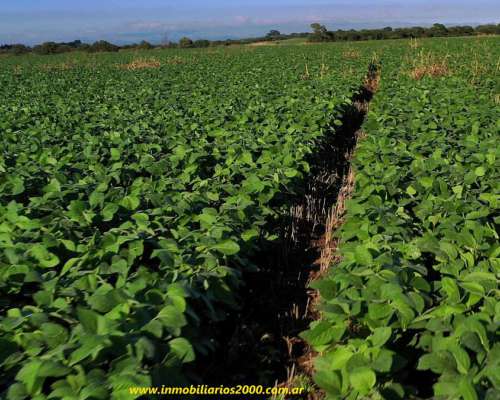 Córdoba Sarmiento 118 Has Agr+icolas Campaso